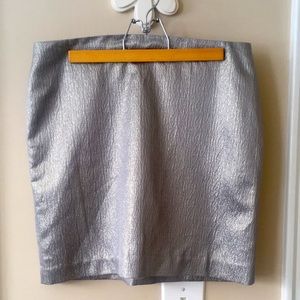 Ann Taylor Silver Shimmery Pencil Skirt NWOT
